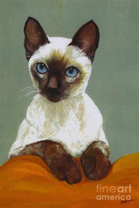 Siamese Cat Painting By Morgan Fitzsimons Fine Art America