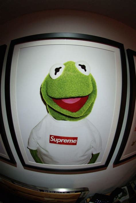 Kermit The Frog Supreme Wallpaper