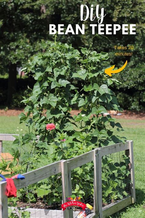 Here's a great idea to throw some creativity into the mix. DIY Green Bean Teepees | Teepee trellis, Vegetable garden ...