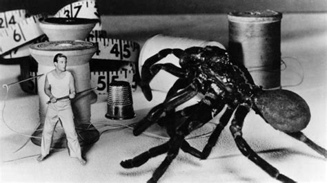 The Incredible Shrinking Man 1957 A Review