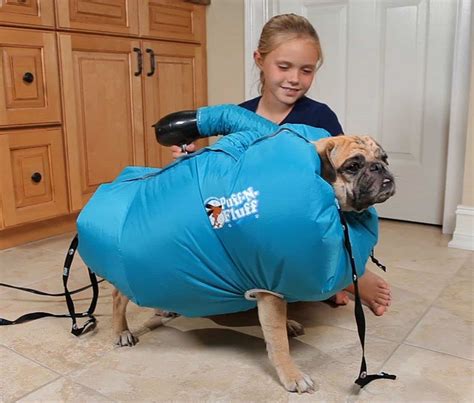 Maybe you would like to learn more about one of these? Puff-N-Fluff Dog Dryer - NoveltyStreet