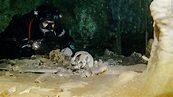 Human remains found in underwater cave - CNN Video