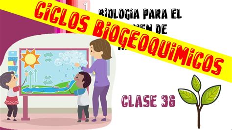 Clase 36 Biología Ciclos Biogeoquímicos Examen Ipn Curso Gratis