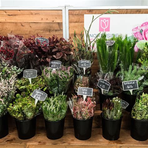 Let us know what you need, and. Seasonal foliage looking lush in the Cold Room today ...