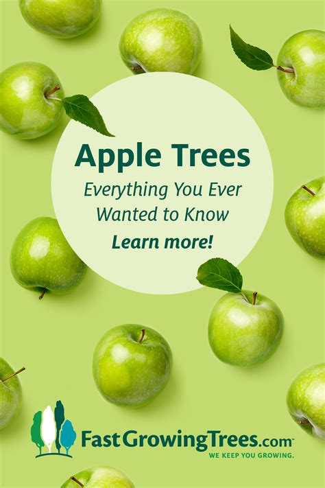 Apple Tree Identification Chart