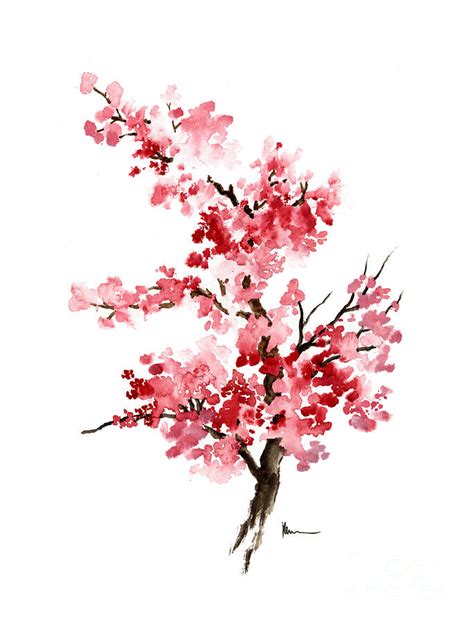 Cherry Blossom Branch Watercolor Art Print Painting By Joanna Szmerdt