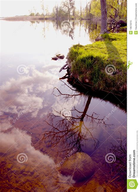 Reflections On The Lake In Spring Stock Image Image Of Evening