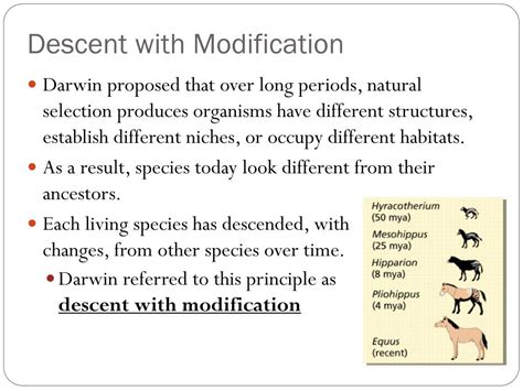 Canidae (the dogs), and ursidae (the bears), among others. PPT - Evolution and Adaptation Notes PowerPoint ...
