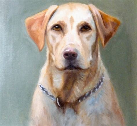Yellow Labrador Retriever Original Oil Painting Dog Portrait Etsy