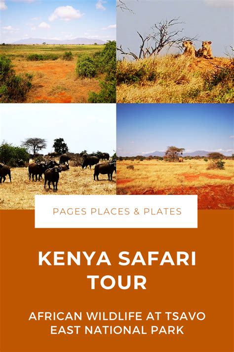 Kenya Safari Tour At Tsavo East National Park Safari Tour Kenya