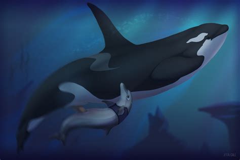 Rule 34 Animal Genitalia Animal Penis Bottlenose Dolphin Cetacean