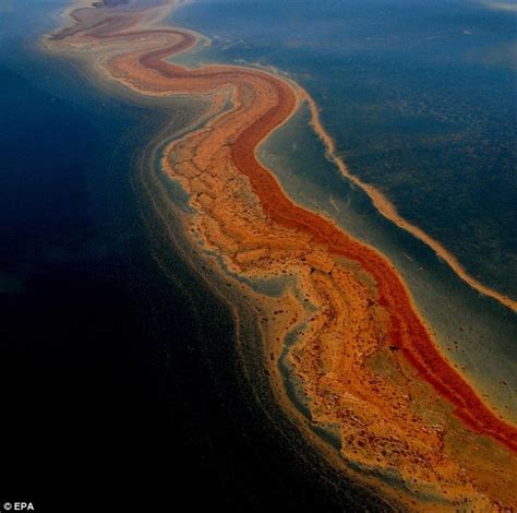 Gulf Of Mexico Oil Spill The Dangers Of Oil Spills