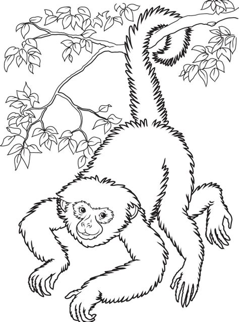 How to draw a monkey hanging Monkey Coloring Pages Printable