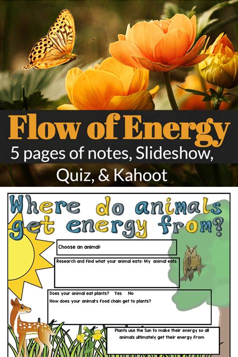 How would an animal feel after they hibernate? Where do organisms get their energy from? | Polka Dots ...