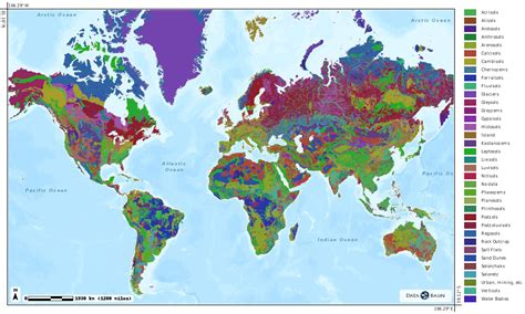 Soil Map Of World