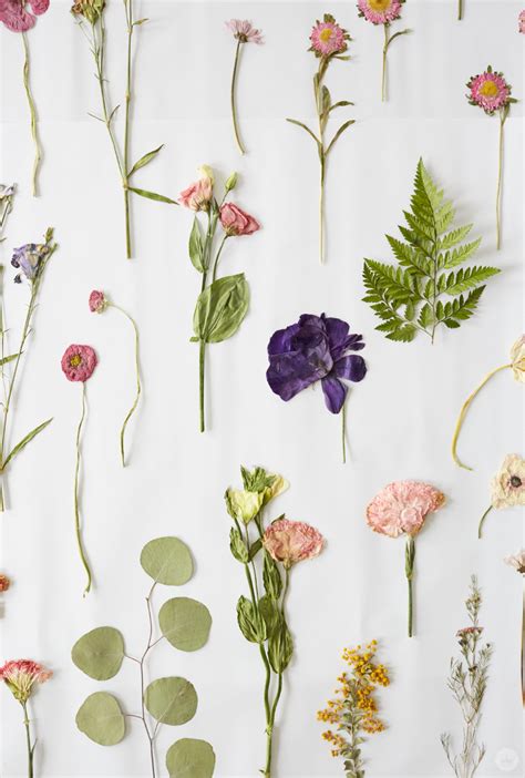 Stunning preserved & dried flower bouquets and bunches that last and last. Pressed flower ideas from a Hallmark workshop - Think.Make ...