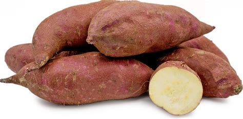 Murasaki Sweet Potatoes Information And Facts
