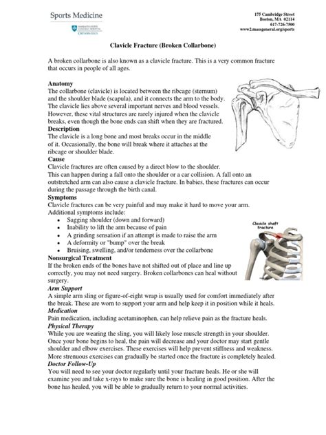 Clavicle Fracture Protocol Non Surgical Anatomical Terms Of Motion