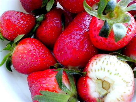 Free picture: beautiful, strawberry, fruit, leaves