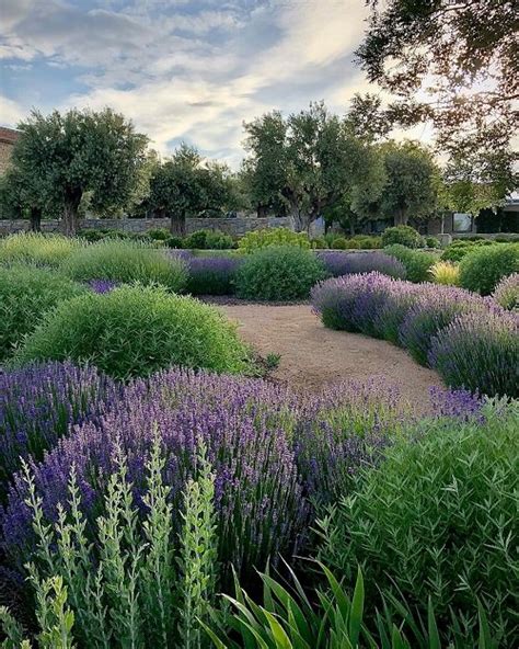 Landscaping With Lavender 7 Garden Design Ideas