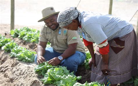 Undp Program In Botswana Invests In Climate Smart Farming Borgen