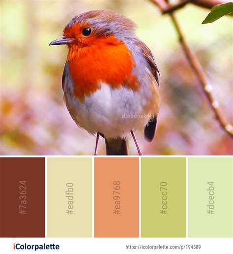 Color Palette ideas from 1762 Bird Images | iColorpalette in 2020 | Color palette, Bird, Palette