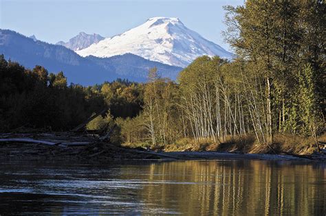 Magic Skagit The River Will Be Turned Into A Forever Stamp