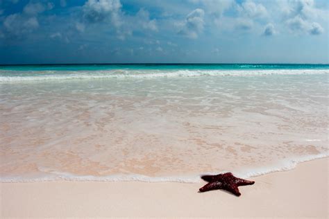 Best Beaches In Bahamas 9 Top Beaches In The Bahamas