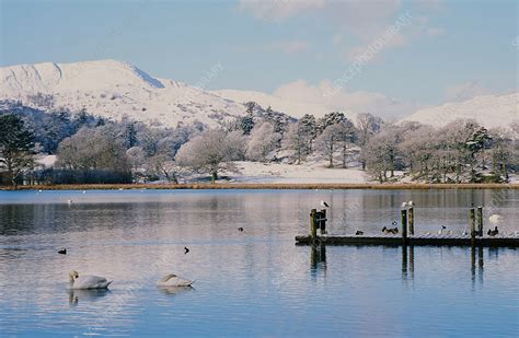 Windermere In Snow Uk Stock Image C0257686 Science Photo Library