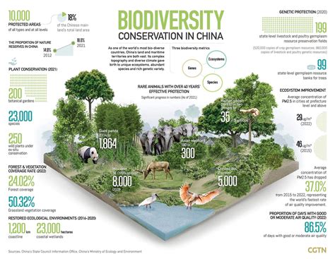 Graphics Biodiversity Conservation In China Cgtn