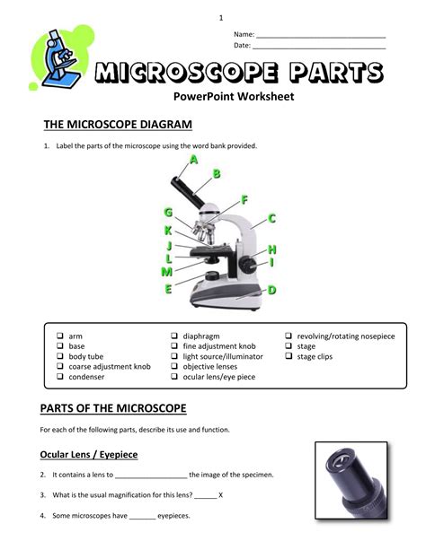 Microscope Parts And Use Worksheet