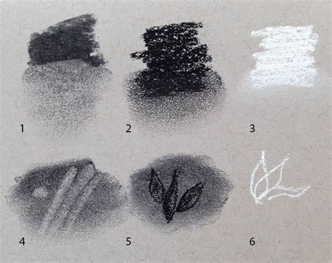 Charcoal Pencil Drawing Tutorial For Beginners Pencildrawing2019