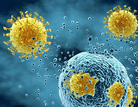 Viruses Can ‘hijack Cellular Process To Block Immune Response Mcgill