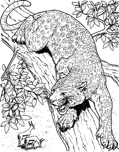 Image information image title : Cheetah Printable Coloring Pages - Coloring Home