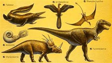 EvoluciÓn De Las Especies Timeline Timetoast Timelines
