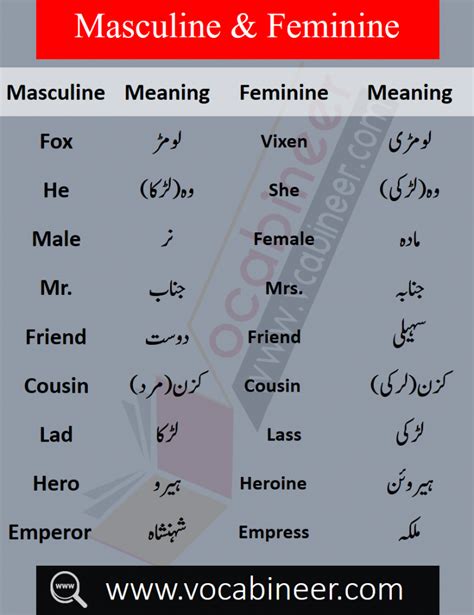In english grammar, verbs are one of the nine parts of speech. Masculine and Feminine with Urdu Meanings Download PDF Free