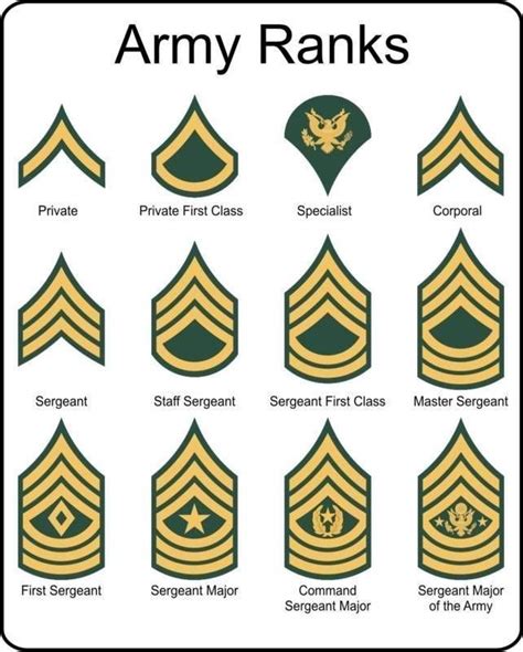 Us Military Army Ranks In 2020 Army Ranks Military Ranks Army Strong
