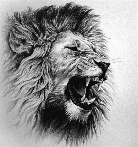 Lion roar tattoo lion tattoos tattoo designs tattoo pictures page 18. Pin de Russell woodland em Tatuajes | Tatuagens de leão ...