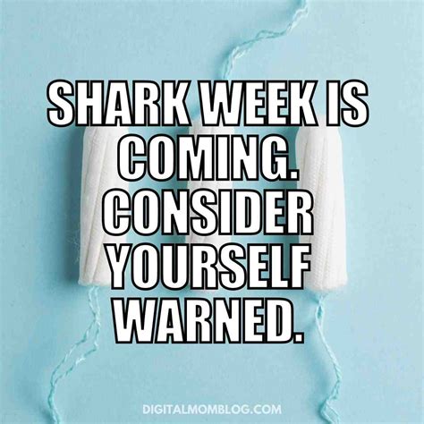 Shark Week Period Meme