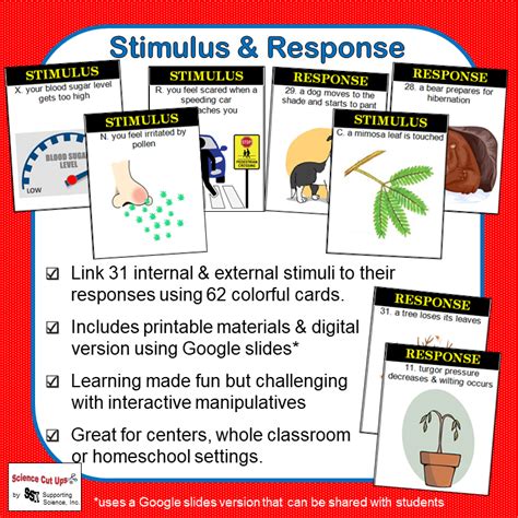 Stimulus And Response Supporting Science Inc