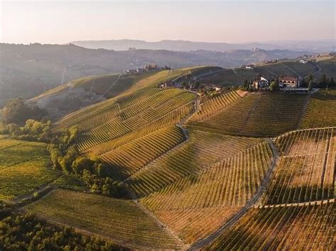 Aerial View Over The Hills Of Le Langhe Wine Region In