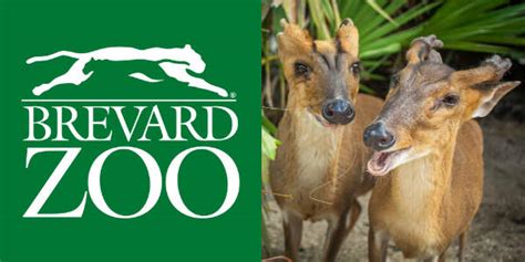Brevard Zoo Offers 5 Admission Day May 31 2019 Brevardzoo