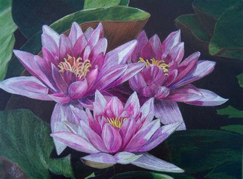 Drawings blending colored pencils artsy art art drawings art inspiration art tutorials color art instructions. Pin on Art - Colored Pencil