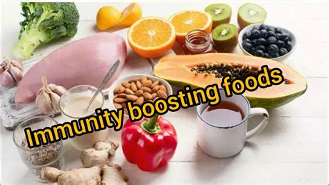 This food is best for dogs with a little weight on them that you would like to take off. Immunity boosting foods - YouTube