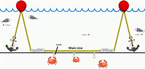 How To Rig And Prepare A Trotline For Crabbing Crabbing Hq
