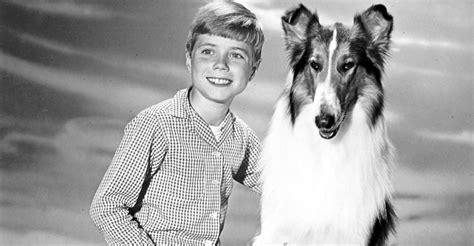 lassie season 1 watch full episodes streaming online