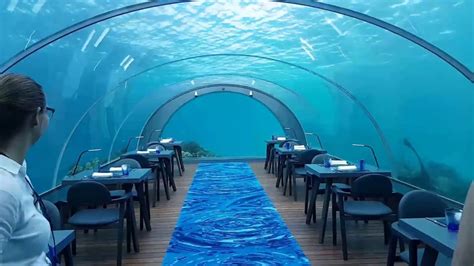 58 Undersea Restaurant At Hurawalhi Maldives Resort Youtube