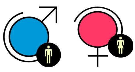 Discursos De Género El Modelo De La Igualdad En La Diferencia Fadep