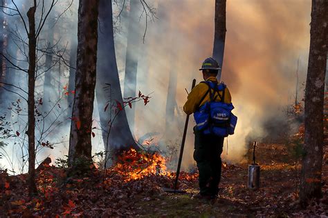 Wildland Firefighting Tactics Fire Us National Park Service