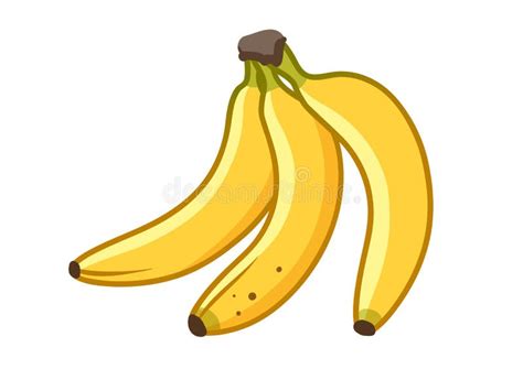Banana Fruit Cartoon Illustration Bunch Of Ripe Bananas Stock